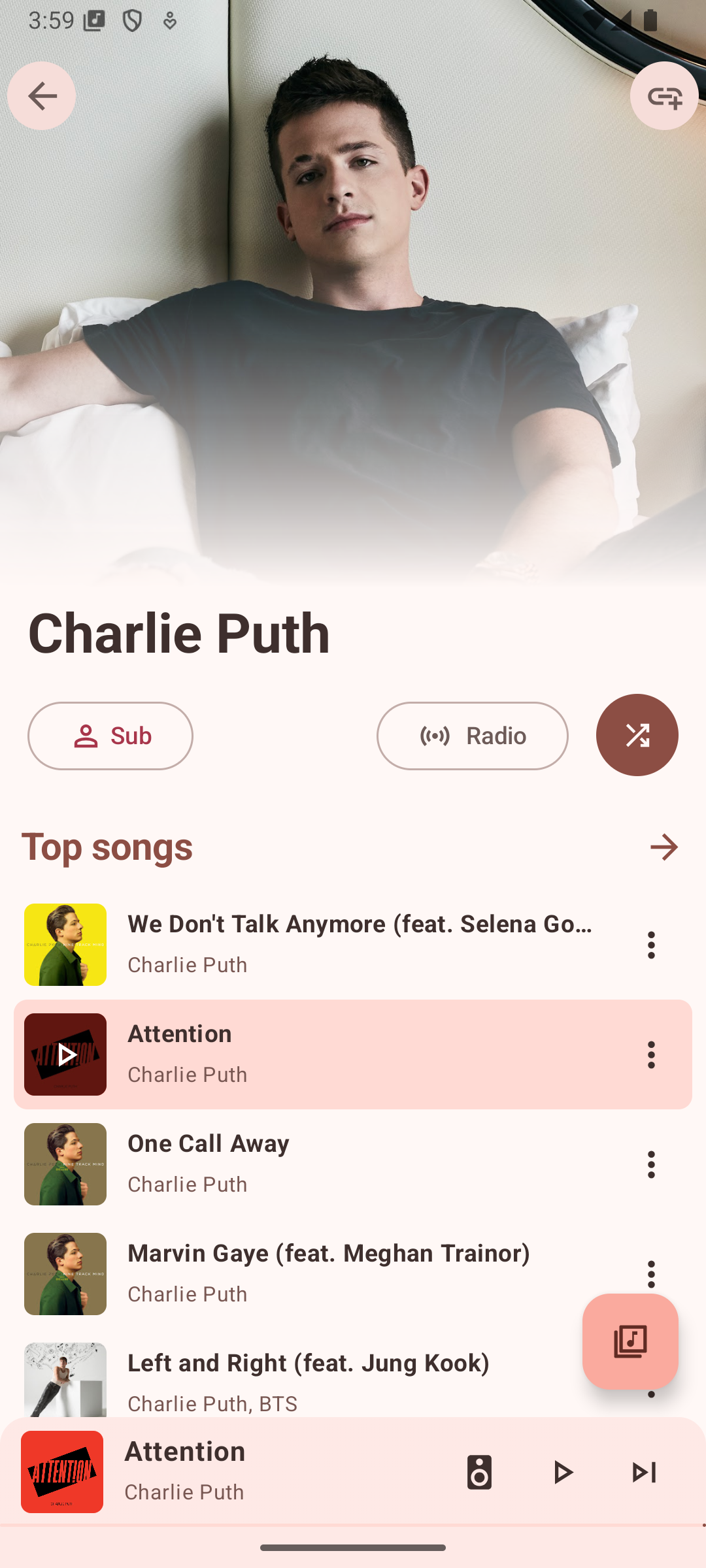 Playlist View